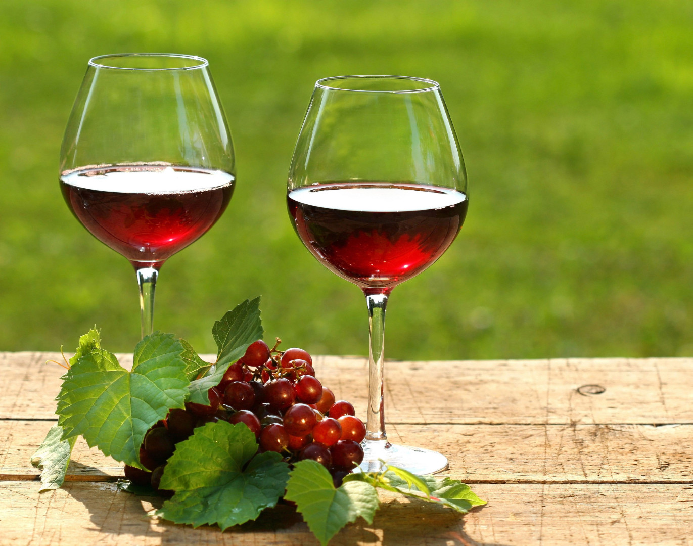В Европее пройдет праздник молодого вина